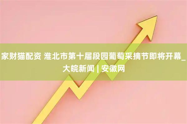 家财猫配资 淮北市第十届段园葡萄采摘节即将开幕_大皖新闻 | 安徽网