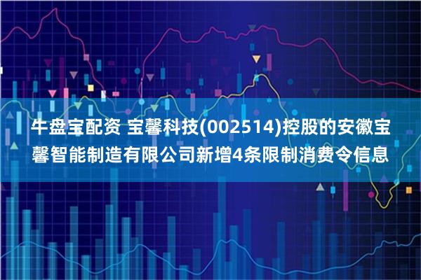 牛盘宝配资 宝馨科技(002514)控股的安徽宝馨智能制造有限公司新增4条限制消费令信息