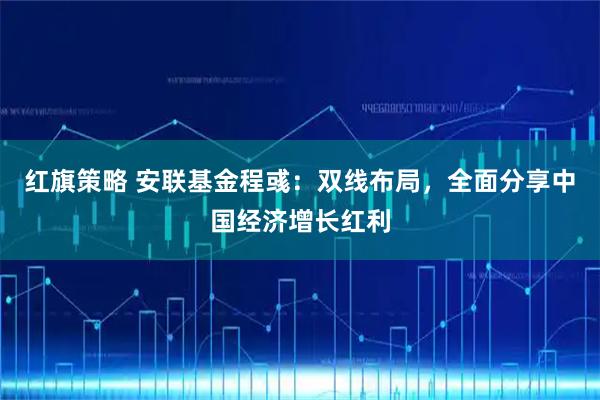 红旗策略 安联基金程彧：双线布局，全面分享中国经济增长红利