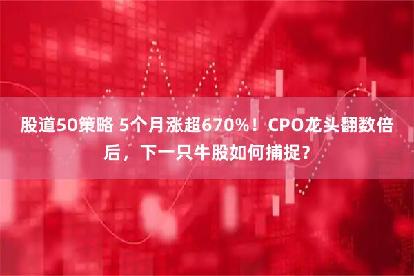 股道50策略 5个月涨超670%！CPO龙头翻数倍后，下一只牛股如何捕捉？