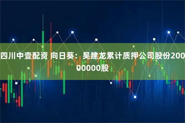 四川中壹配资 向日葵：吴建龙累计质押公司股份20000000股